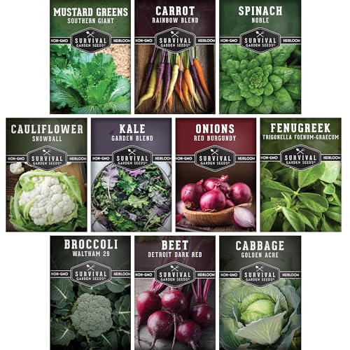 10 Spring Vegetable Seed Collection for Planting | Cool Season Root Vegetables & Leafy Greens, Suitable for Fall & Winter Gardens – Heirloom Non-GMO Variety Pack | Survival Garden Seeds