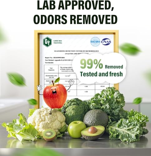 Image of Fridge Deodorizer, Lasts Up to 10 Years, Stainless Steel,Light Green