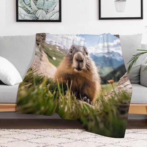 Couverture chaude et confortable lavable pour stopper le froid - 3
