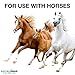 ElectroBraid PBRC1000C2-EB 1000 ft. Reel - Electric Fencing Designed for Horses