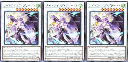 �y3���Z�b�g�z BPRO-JP038 �i�C�g�E�B���O�E�v���[�X�g ���A R �o�[�X�g�E�v���g�R�� BURST PROTOCOL �i�C�g�E�B���O�v���[�X�g