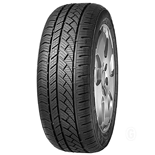 Pneumatico Fortuna ECOPLUS2 4S Tutte Stagioni 205/55 R17 95W XL - Omologato M+S E 3PMSF, Per Tutto L'Anno