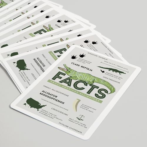 Lantern Press NAIPE Poker Facts About American Alligators miniatura 5
