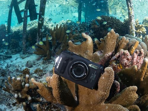 OM SYSTEM Olympus Tough TG-7 Black Underwater Camera, Waterproof, Freeze Proof, High Resolution Bright, 4K Video 44x Macro Shooting (Successor Olympus TG-6)
