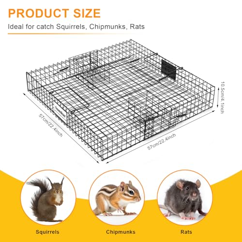 Sumkat Squirrel Trap Live Rodent Cage for Humane Catch and Release, Holds up to 25 Squirrels