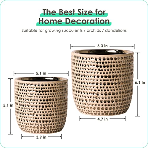 Gold Planters For Indoor Plants, 2 Pack 6.3&5.1 Inch Ceramic Houseplant Pots With Drainage Hole, Stopper,Galvanized Ceramic Plant Pot Foam Pads Perfect For Home Decor, Holidays And Birthday Gifts #TOP5