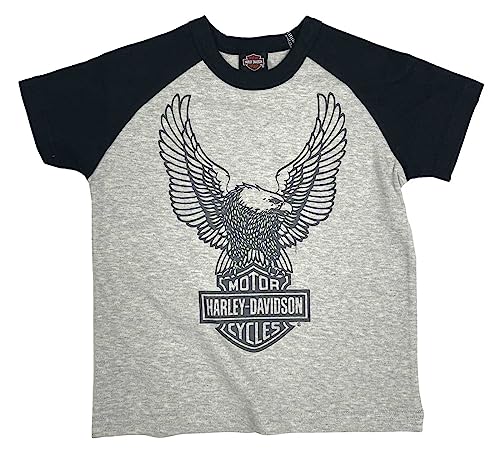 Harley-Davidson Little Boys' Colorblocked Short Sleeve Raglan Toddler Tee - Gray