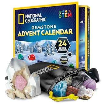 National Geographic Dino-Adventskalender 2024 - 24 Tage Dinosaurier-Abenteuer Mit Figuren & Aktivitäten