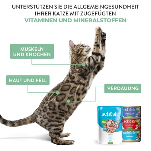 Schesir Thunfisch mit Surimi in Gelatine, Nassfutter für Katzen, in Dosen, 100% natürlich, mit zusätzlichen Vitaminen, 12 x 85 g