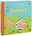 Hop, Hop Bunny (A Follow-Along Book)