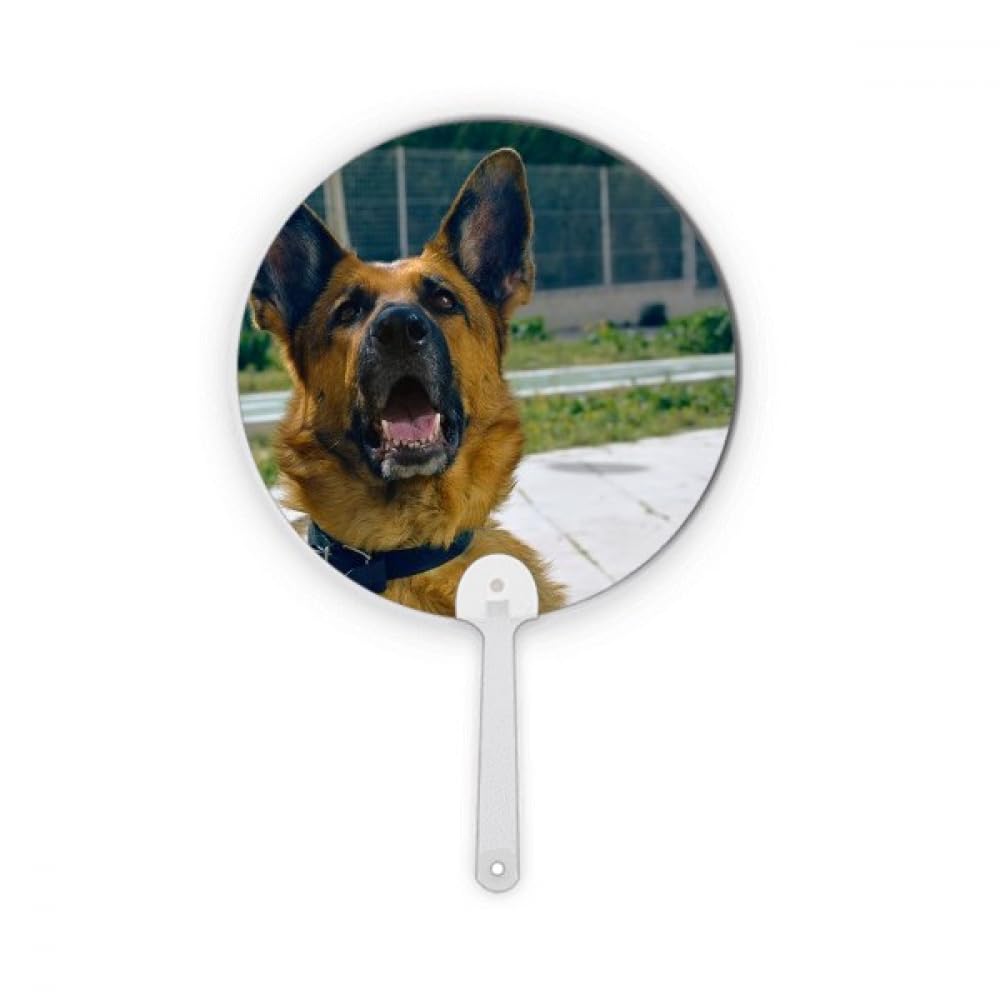 Éventail rond photo de chien no/no pour décoration de fête et accessoires créatifs