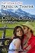Colton Creek Cowboy (Slater Sisters Book 3)