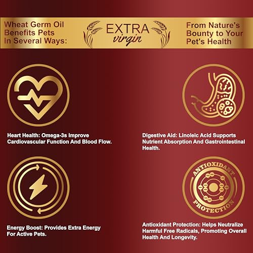 Congo-200ml-Wheat-Germ-Oil-Natural-Vitamin-E-with-Moringa-for-Birds-Cats-Dogs-Horse-and-Other-Pets