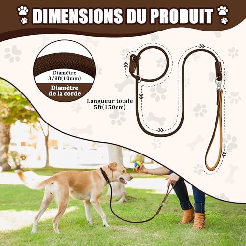 Hundeleine mit Zugstopp & Halsband, 150 cm Trainingsleine aus robustem Nylonseil, Slip Lead Leine mit Ledergriff & Metallringen, verstellbar für Mittelgroße & Große Hunde - Dunkelbraun