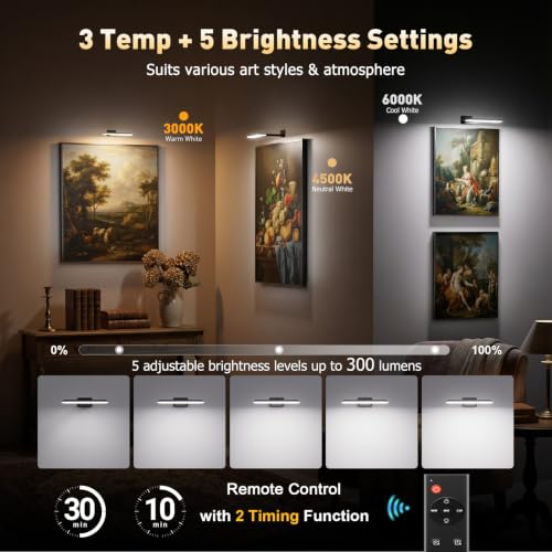 NARUNDREN Rechargeable Picture Lights for Wall with Remote-2PC(Black)