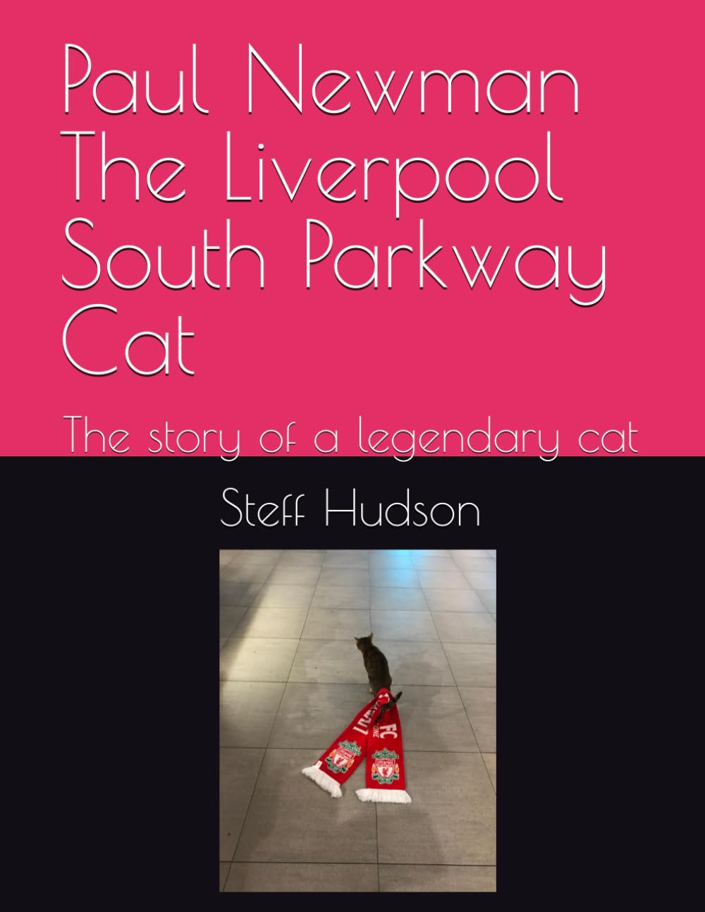 Paul Newman The Liverpool South Parkway Cat: The story of a legendary cat