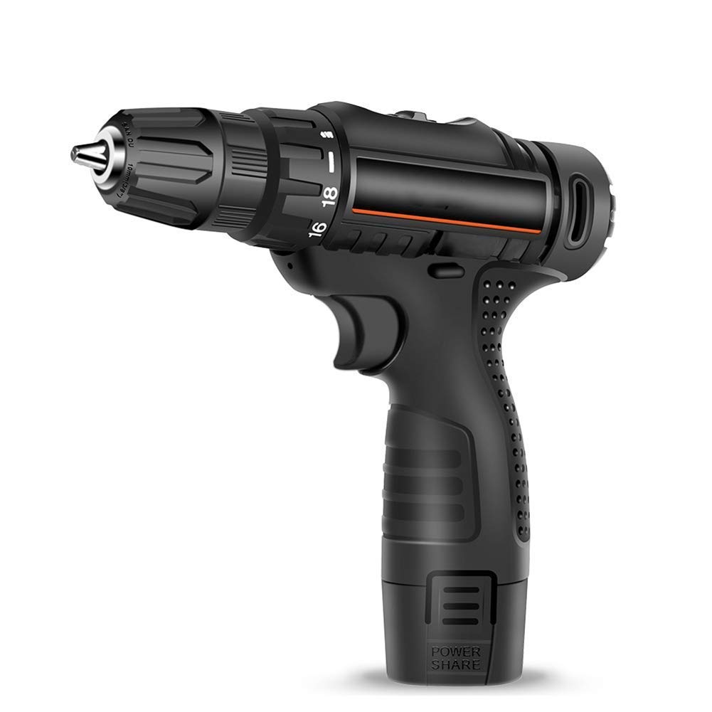 Trapano Avvitatore a Batteria Trapano Combinato agli ioni di Litio 12V-Max in Custodia da Trasporto, Faro da Lavoro a LED, Batteria a Cambio rapido e Caricabatterie Inclusi