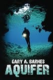 Aquifer: A Novel