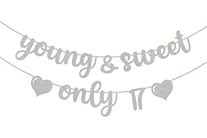 Young & Sweet 17 Banner for The Best 17th Birthday Girls Encanto Birthday Banner
