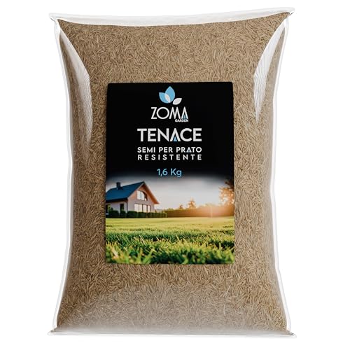 ZOMA TENACE Semi prato calpestabile resistente alla Siccità 50 m², Sementi per prato a Bassa Manutenzione e adatti ad ogni terreno, mix di 5 varietà made in italy - 1.6 kg