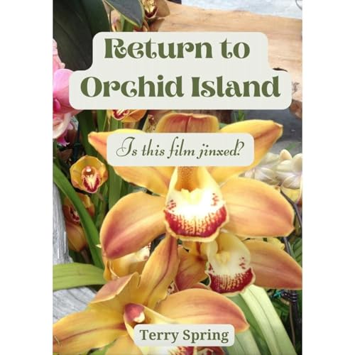 Return to Orchid Island Audiolibro Por Terry Spring arte de portada