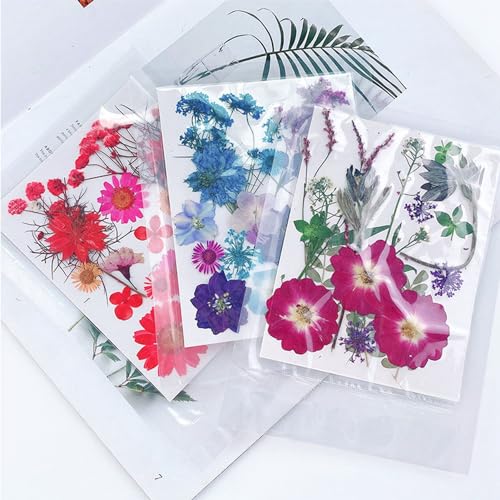 5 bolsas de flores secas prensadas para manualidades miniatura 5