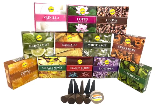 Sreevani Natural Masala Incense Cones And Holder Bundle, 120 Cones Total, Assorted #1 #TOP22
