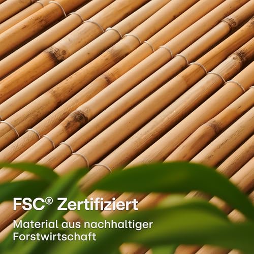 Praknu Schilf Balkon Sichtschutz Holz - FSC® Zertifiziertes, Natürliches Schilf - Einsetzbar Im Innen- Und Außenbereich - Sichtschutz für Garten, Balkon - 100 x 300cm - Zaun Sichtschutz aus Bambus