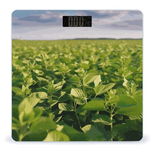 Báscula digital de baño Smart Scale vidrio templado miniatura 1