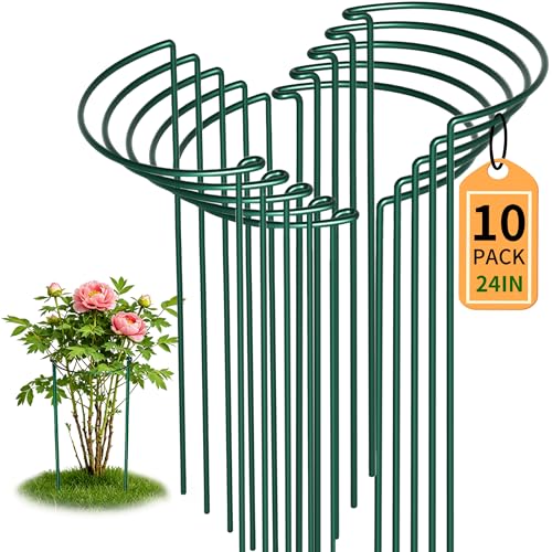10Pcs Thicken 4MM Metal Garden Supports (25cm Ø x 60cm H) - Extra Thick Garden Plant Cages for Tomatoes Peonies. Rust-Proof Coated Green Plant Stakes Flower Plant Supports for Outdoor Plants