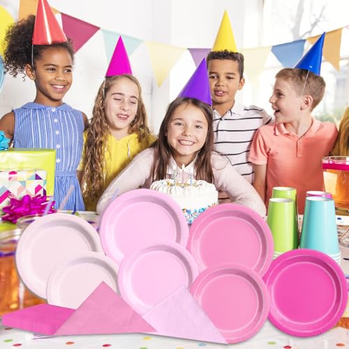 Image of CMUSKO Pink Birthday Decorations-60Pcs Light Pink Plates and Napkins Kit Girls Gradient Pink Party Supplies for Birthday,Wedding, Bridal Shower