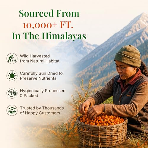 Image of First Bud Organics Sea Buckthorn (100g)