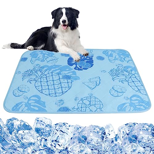 Chill Out with the Coolest Pet Pads of 2021 Top 10 Picks and Buying