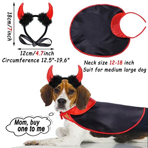 Disfraz Halloween para perro grande 2 piezas vampiro miniatura 3