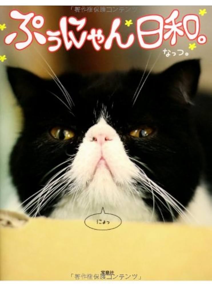 ぷぅにゃん日和。 | なっつ。 |本 | 通販 | Amazon