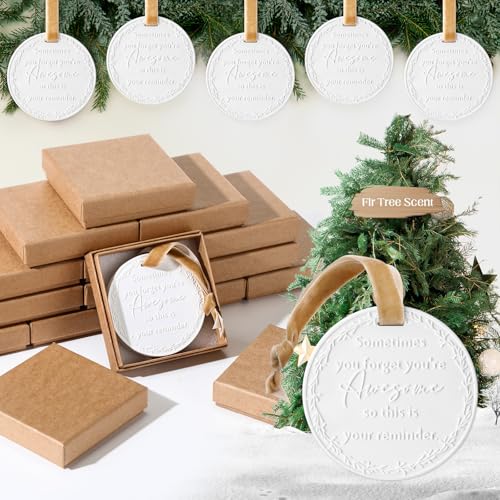 Memorywuu 12 conjuntos de enfeites de Natal perfumados agradecidos por funcionários ideias de presentes de agradecimento de funcionários com caixa Às vezes você esquece que é um enfeite incrível