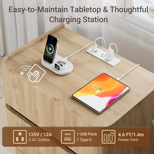 https://m.media-amazon.com/images/I/51it12WJZwL.jpg