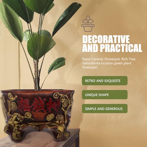 Pot de fleurs en céramique pour succulentes et arbre amulette rétro