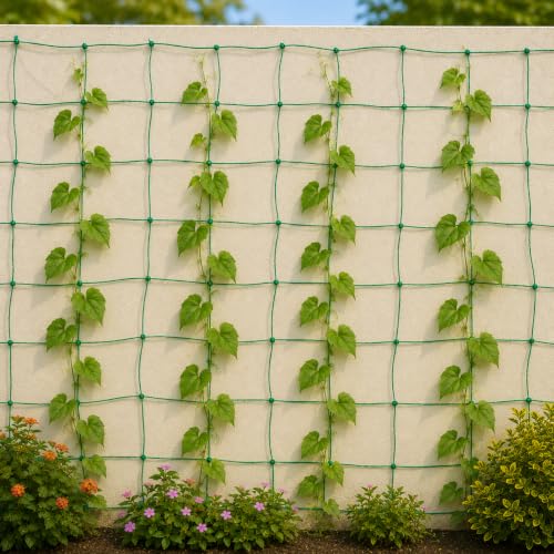 Image of Plant net for Climbing Plants | Heavy Duty Garden Trellis Net for Creeper Plants, Vegetables & Flowering Vines(3x6 feet)