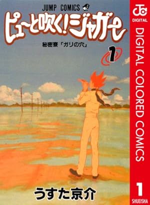 Amazon.co.jp: ジョジョの奇妙な冒険 第6部 ストーンオーシャン