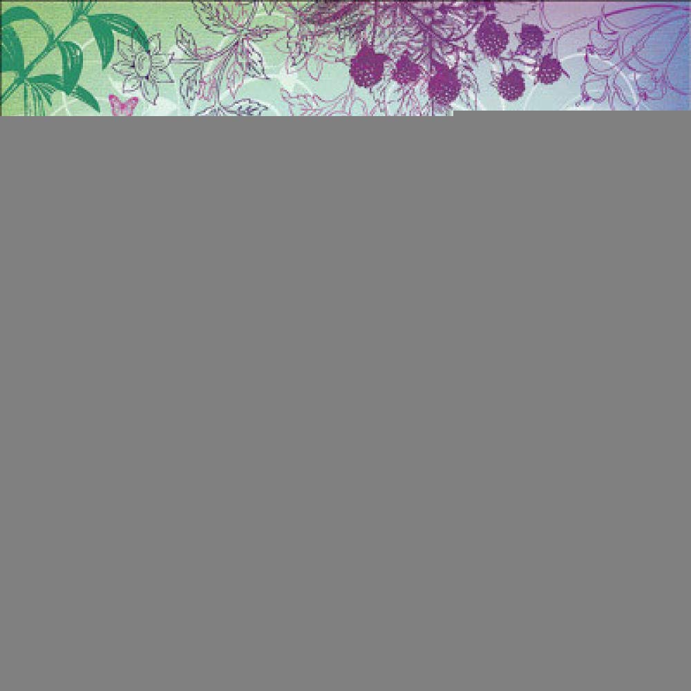Peinture de diamant 5D papillon anti-stress pour s'initier facilement au DIY