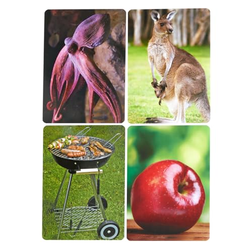 Image of Really Good Stuff Syllable Photo Cards - 48 Cards