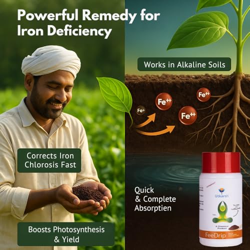 Image of Utkarsh FeeDrip - Fe 6% EDDHA Chelated (100% Water Soluble Chemical for Soil Application) (250 gm; Pack of 1)