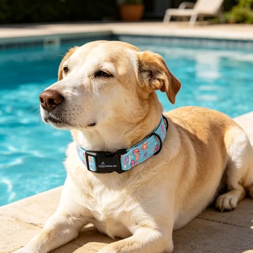 ARING PET Summer Dog Collar, Cute Blue Starfish Seahorse Doggy Collars for Puppy Small Medium Large Boy Girl Dogs Pet, for Daily Photos Outdoor Beach Walking Picnic, M — view 4