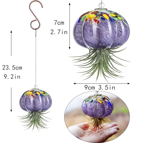H&D Hyaline & Dora Hanging Hand Blown Art Glass Jellyfish Air Planter Terrarium Decor For Garden Porch Windowsill  thumb #5