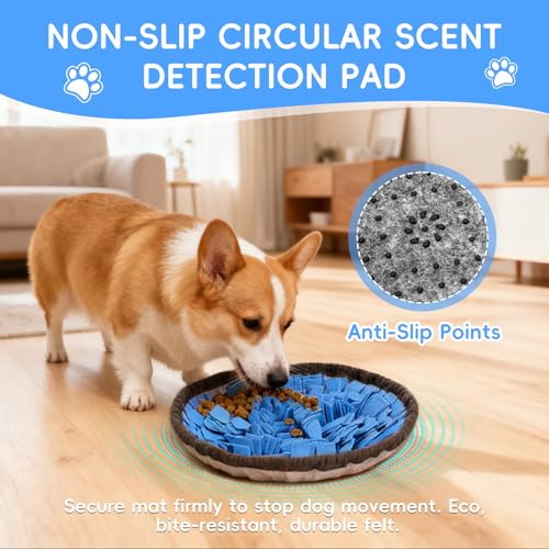 AMFUN Schnüffelteppich Hund, Schnüffelmatte zur Förderung, Welpen-Trainingsmatte für langsames Füttern, Rutschfest, Waschbar, Filz-Material, Lernspielzeug für kleine und große Hunde - Blau, 48 × 48 cm