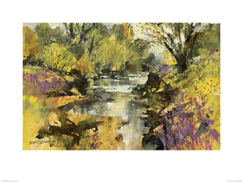 Toile imprimée Chris Forsey PPR51072, décoration murale de salon haut de gamme