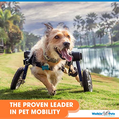 Dog Wheelchair - For Medium Dogs 26-49 Pounds - Veterinarian Approved - Dog Wheelchair For Back Legs #TOP7