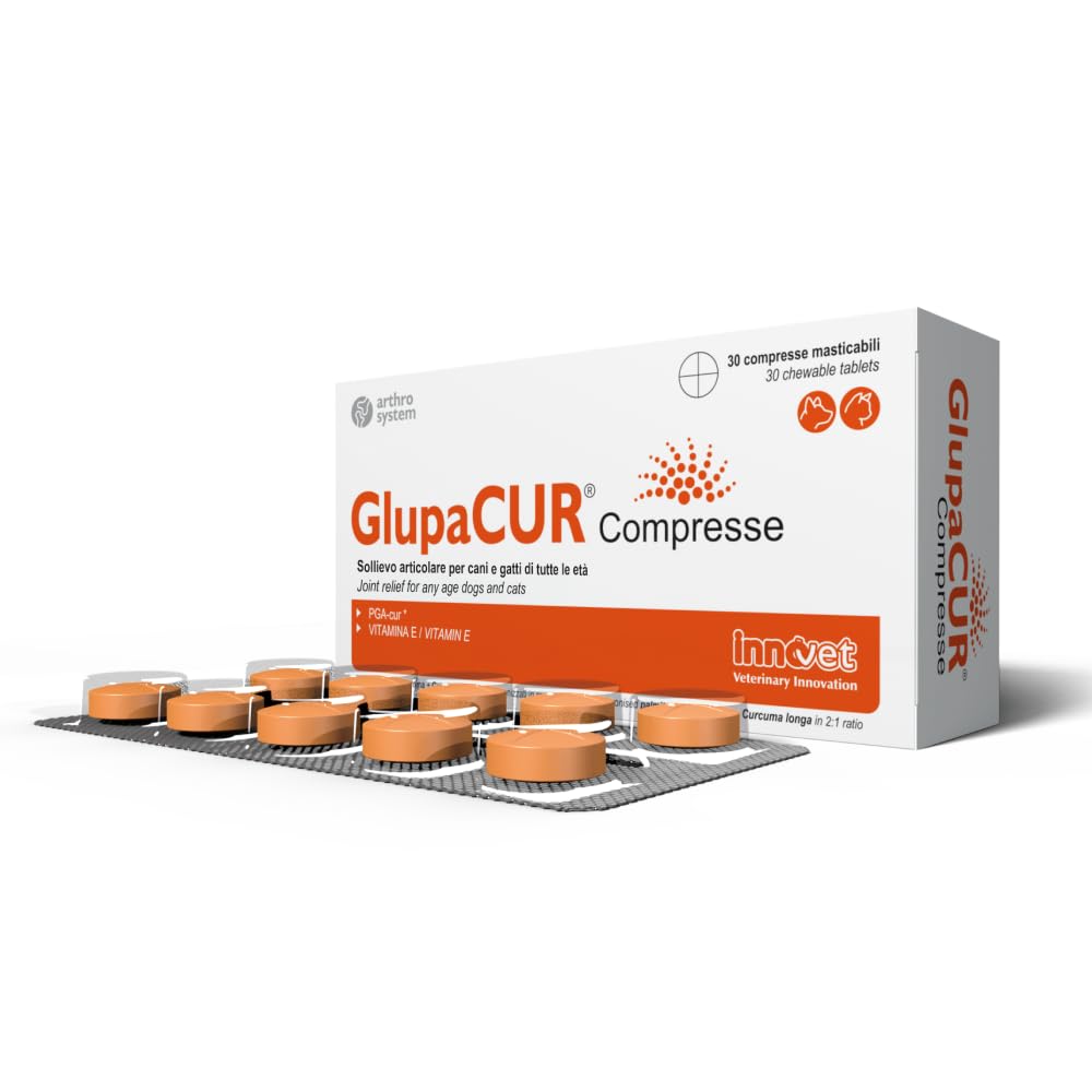 Innovet Glupacur, Complément Alimentaire pour Soulager les Articulations Chiens et Chats souffrant d'Arthrose, Soutien Avancé de la Mobilité, Palmitoylglucosamine, Curcumine et Vitamine E - 30 gélules