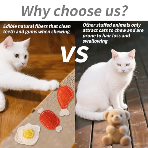 Jouets mâcher chat dentition : 3 luffas interactifs avec herbe à chat